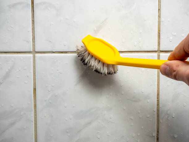 Best Affordable Mold Removal  in Cortland, OH