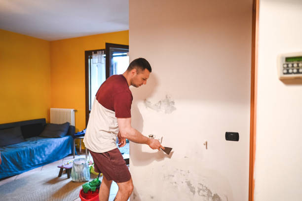 Best Residential Mold Removal  in Cortland, OH